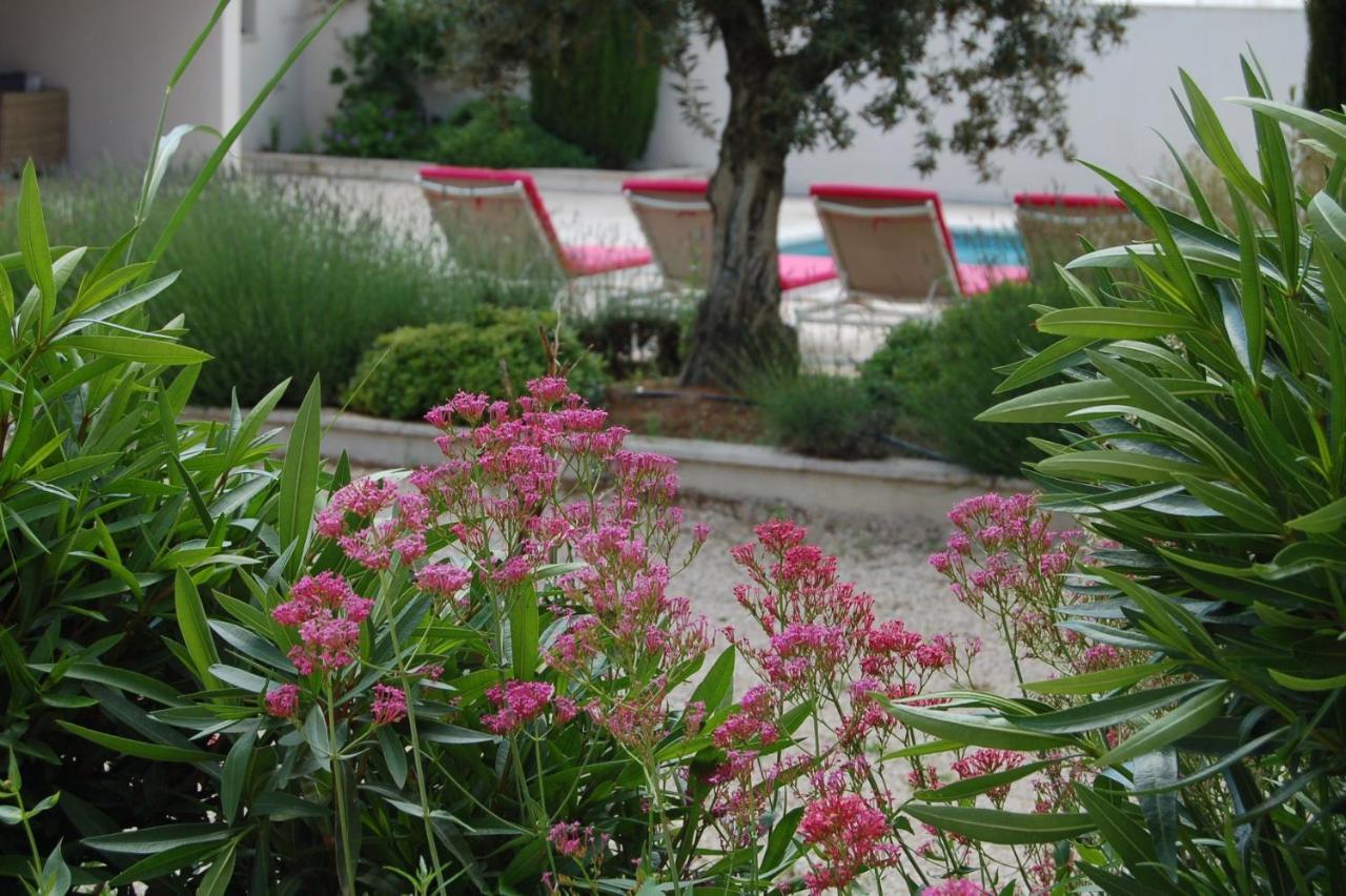 Bed and Breakfast La Goutadou Cabannes Exterior foto