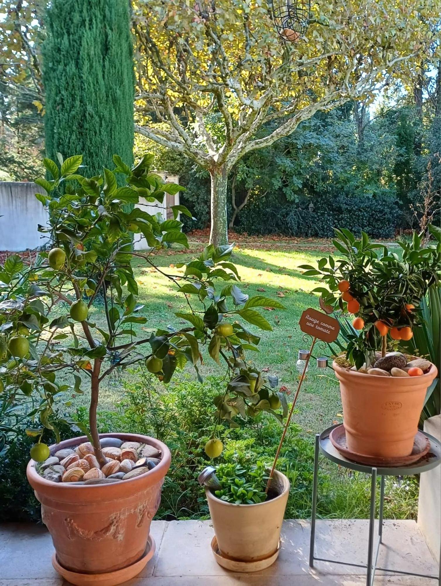 Bed and Breakfast La Goutadou Cabannes Exterior foto